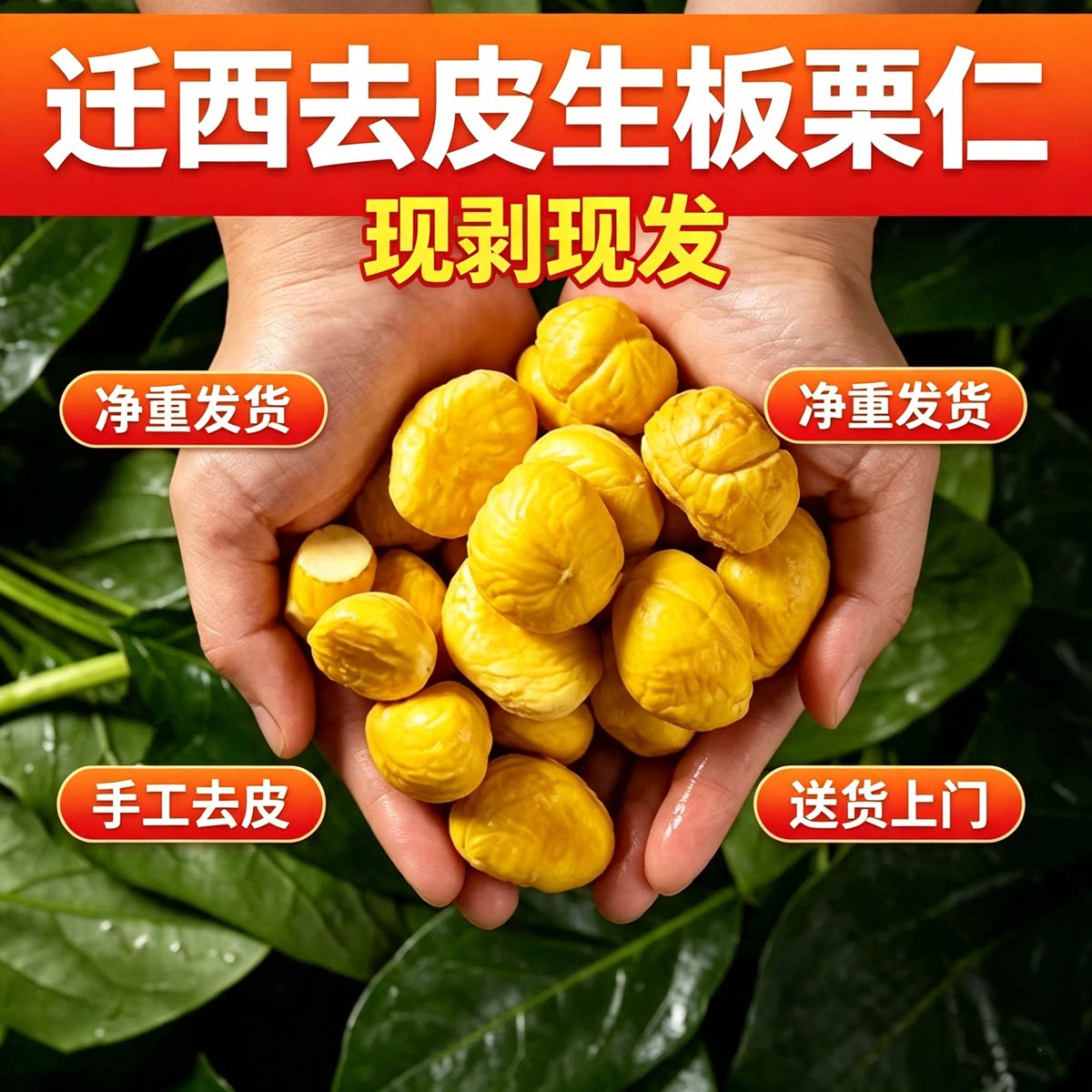 迁西新鲜去壳板栗仁真空装