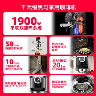 突尼E2意式咖啡机小型家用半自动双锅炉萃取浓缩蒸汽打奶泡礼品
