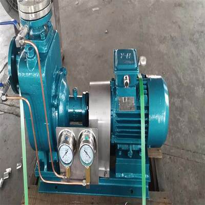 惠州沃德CQX40-15-4船用CCS潜水泵80CWZ-8A污水自吸泵双相钢2205