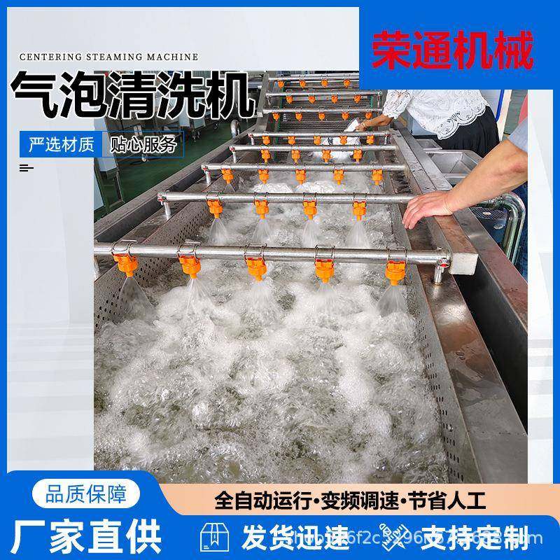 大型升降式气泡清洗机香菇辣椒瓜果蔬菜清洗设备果蔬连续清洗机,厨房电器,其他商用厨电,淘宝优惠券,粉丝福利购,淘宝优惠卷