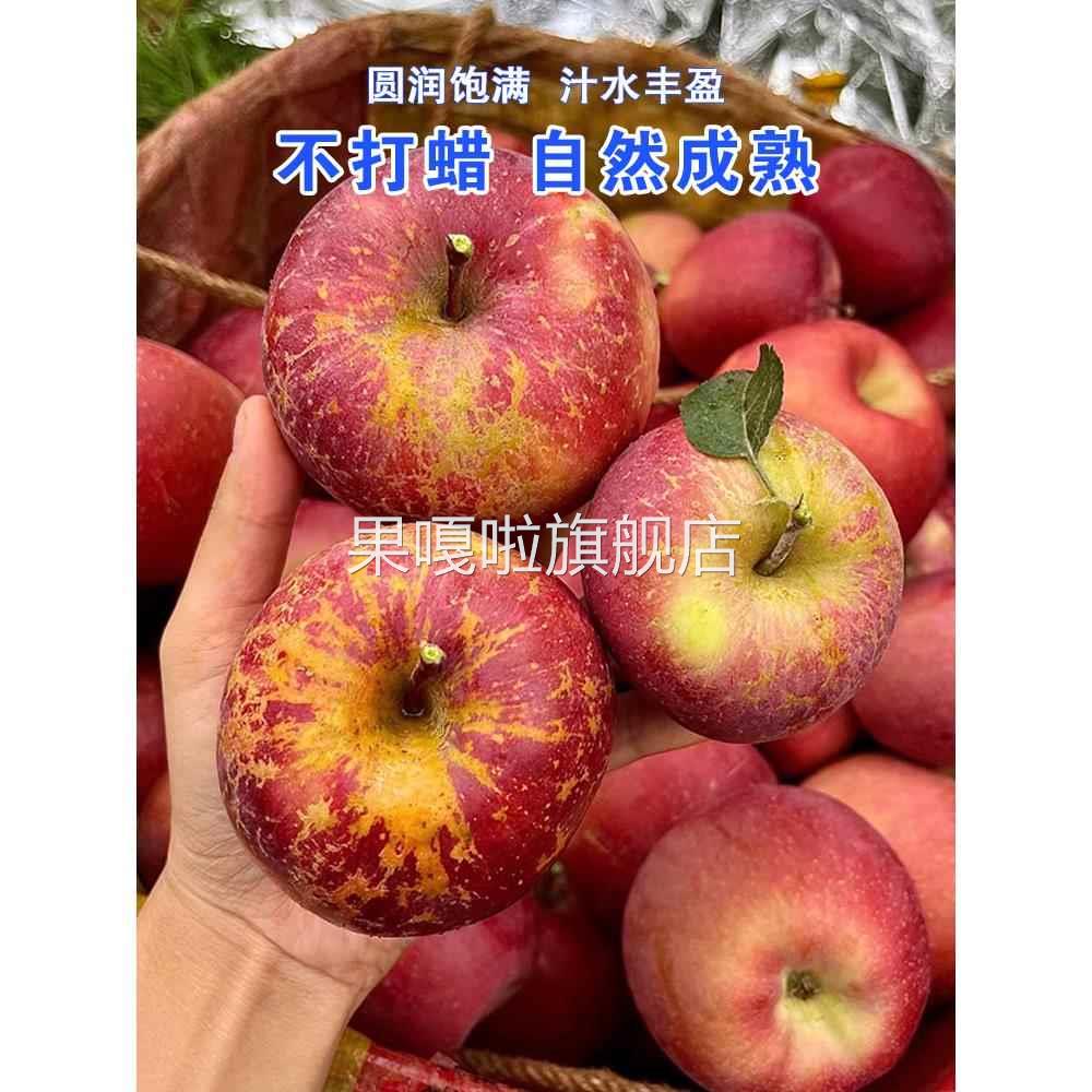 2024新鲜大凉山丑苹果10斤冰糖心苹果水果当季整箱盐源四川红富士