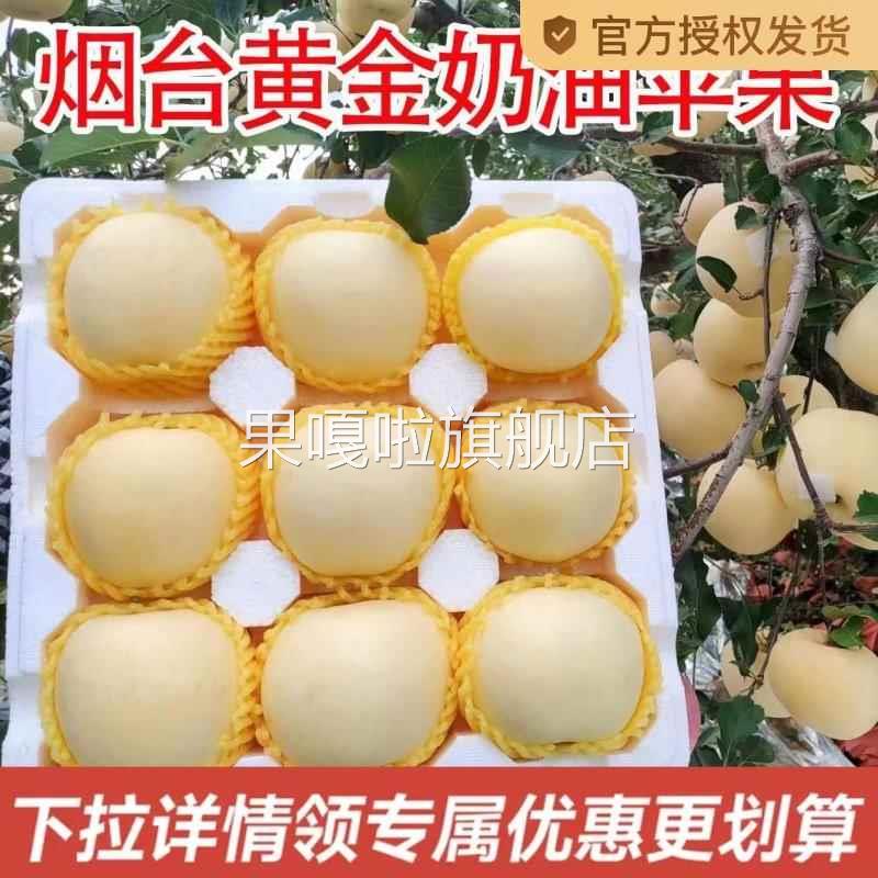 山东烟台黄金奶油富士苹果正宗栖霞水果新鲜当季现摘整箱