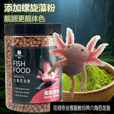 六角恐龙鱼不浑水高蛋白上浮饲料