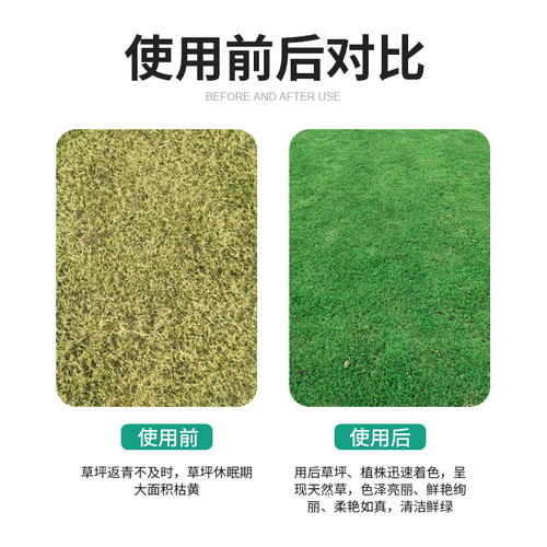润德苑林草坪增绿剂草皮枯草染绿剂植物染色着色剂一喷就绿不伤草