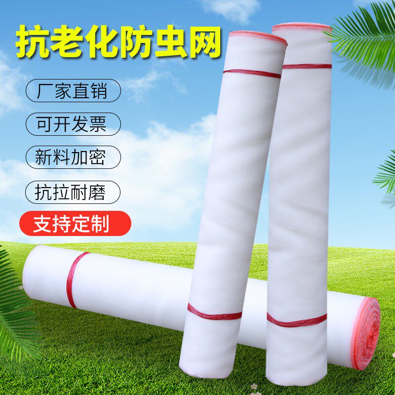 防虫网大b棚养殖场猪场专用防蚊网抗老化加厚窗纱网农用蔬菜尼龙