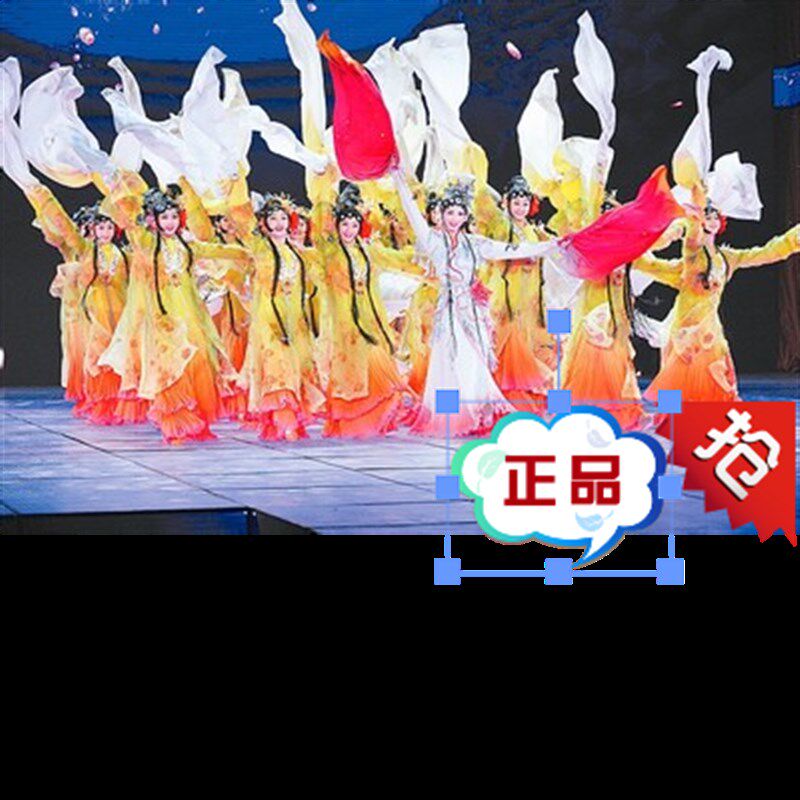 桃李杯百花争妍女古典舞蹈服表y演服装古装水袖舞台 热卖长袖戏服