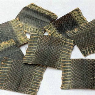 4斤以上乌蛇皮中段以下单块蛇皮 京胡皮 京胡蒙皮材料 乐器配件