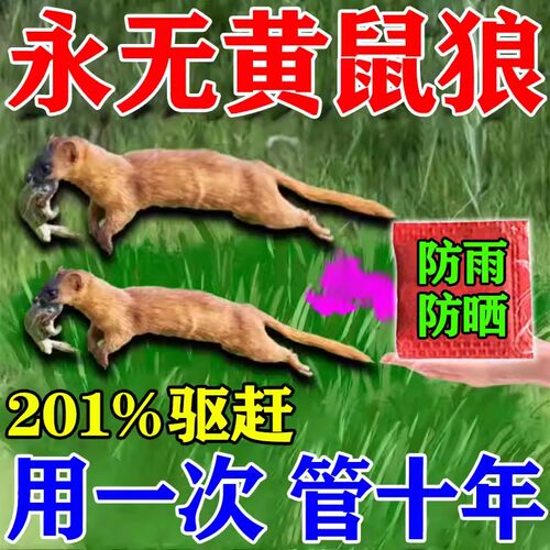 驱黄鼠狼专用药养鸡防黄鼠狼神器养殖场强力气味驱赶吓黄鼠狼专用