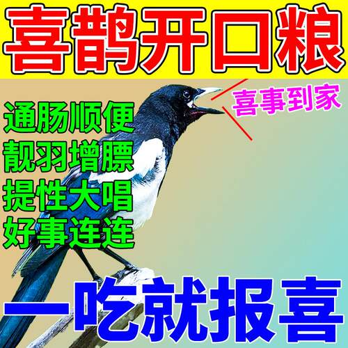 喜鹊饲料虫干牛肉五谷营养鸟食八哥松鸦金翅雀幼鸟雏鸟专用开口粮