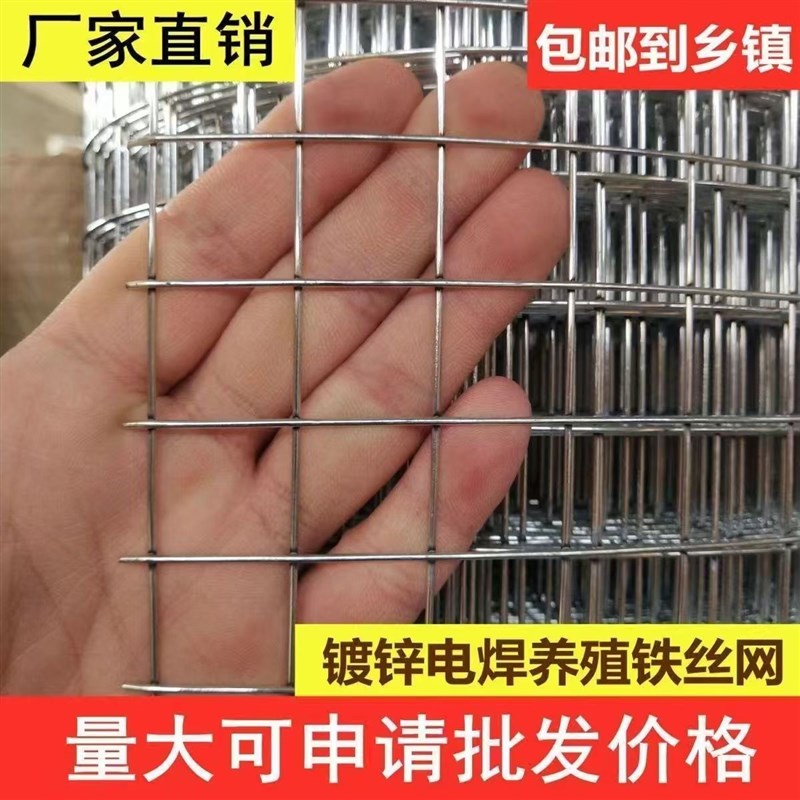 热镀锌电焊网围栏阳台防护网w窗户护栏钢丝网防鼠栅栏养殖网铁丝