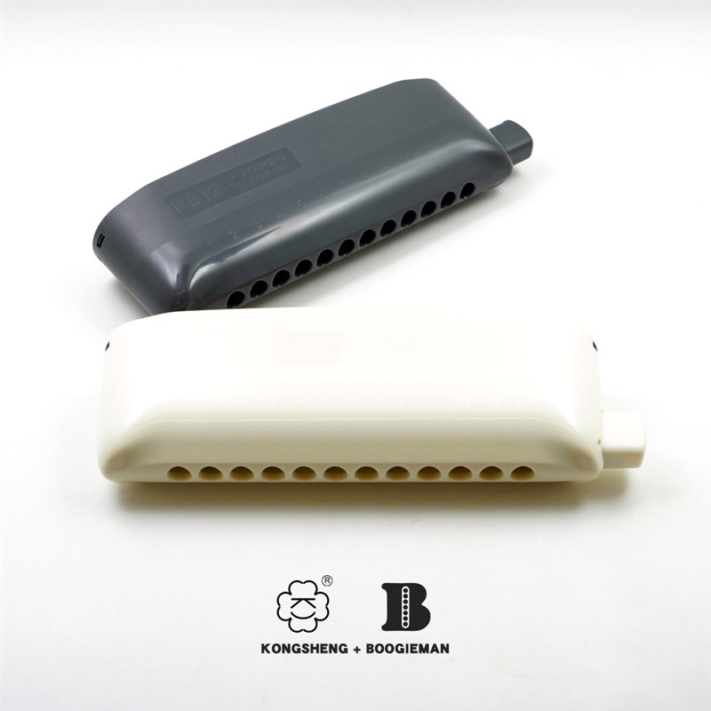 KB12 半音阶口琴演奏12孔c调初学者学生树脂性价比BoogieMan