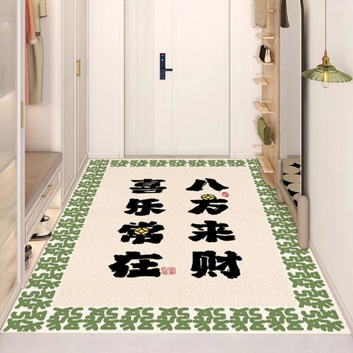 地垫入户b门垫可擦免洗家用门口防滑垫进门耐脏换鞋垫现代简约地