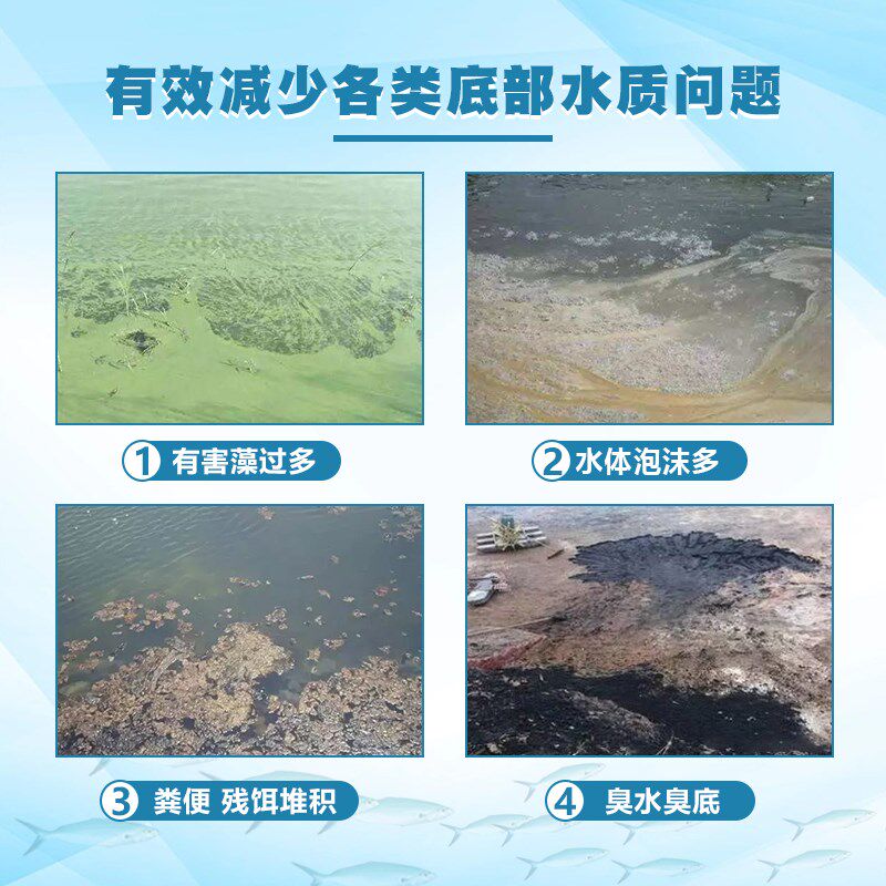 复合芽孢杆菌水产养殖池塘分解有害藻垃圾裸甲藻绿藻净水肥水