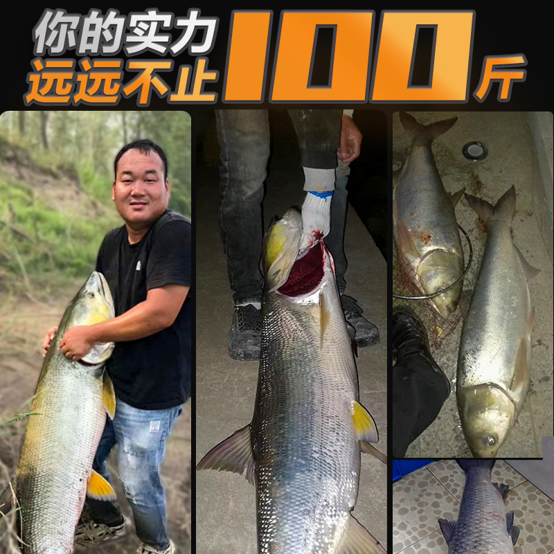 插节锚杆并继锚鱼竿XXXH超硬轻雷强竿专业可视锚竿船竿抛竿远投竿