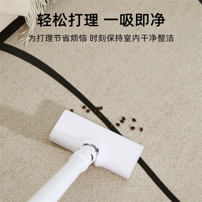 客厅地毯2024新款现代简约茶几地垫免打理加厚卧室房间床边毯全铺