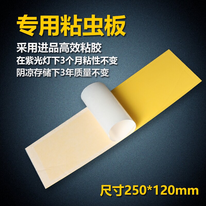 【30张装】灭蝇灯专用灭t蝇纸粘蝇纸沾纸灭苍蝇蚊子纸板灭蚊灯粘