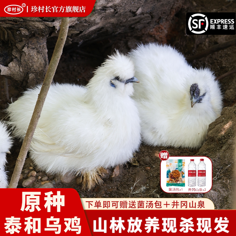 泰和原产地原种泰和乌鸡整只散养