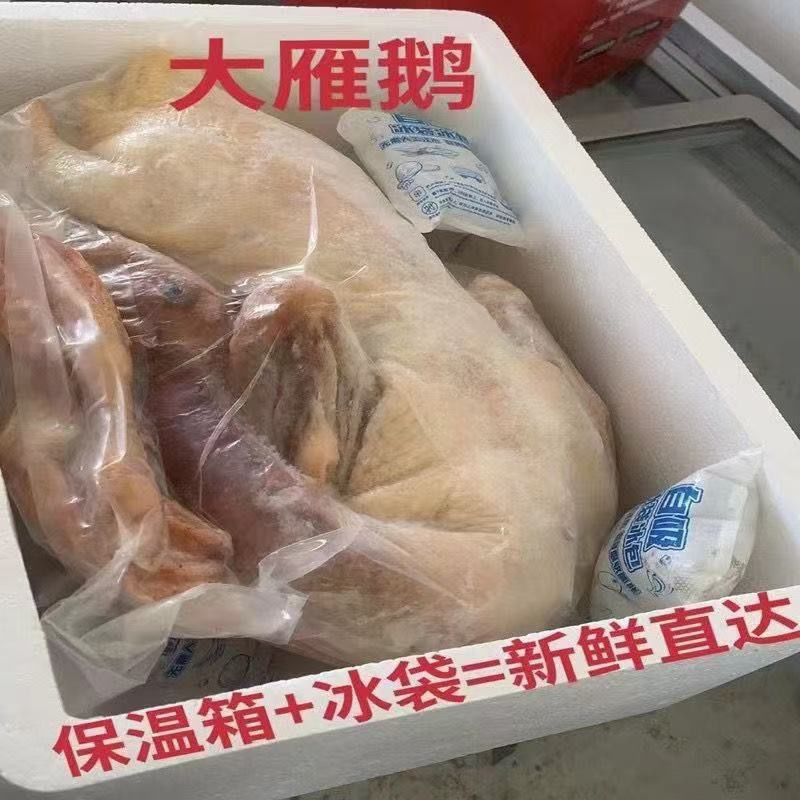 【整只大雁鹅】新鲜现杀大雁非大鹅整只大鹅鹅肉农家散养坏单包赔