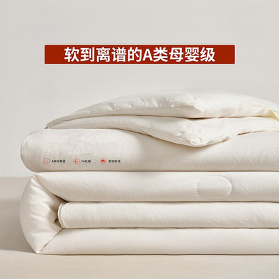 日本进口蚕丝被春秋冬用