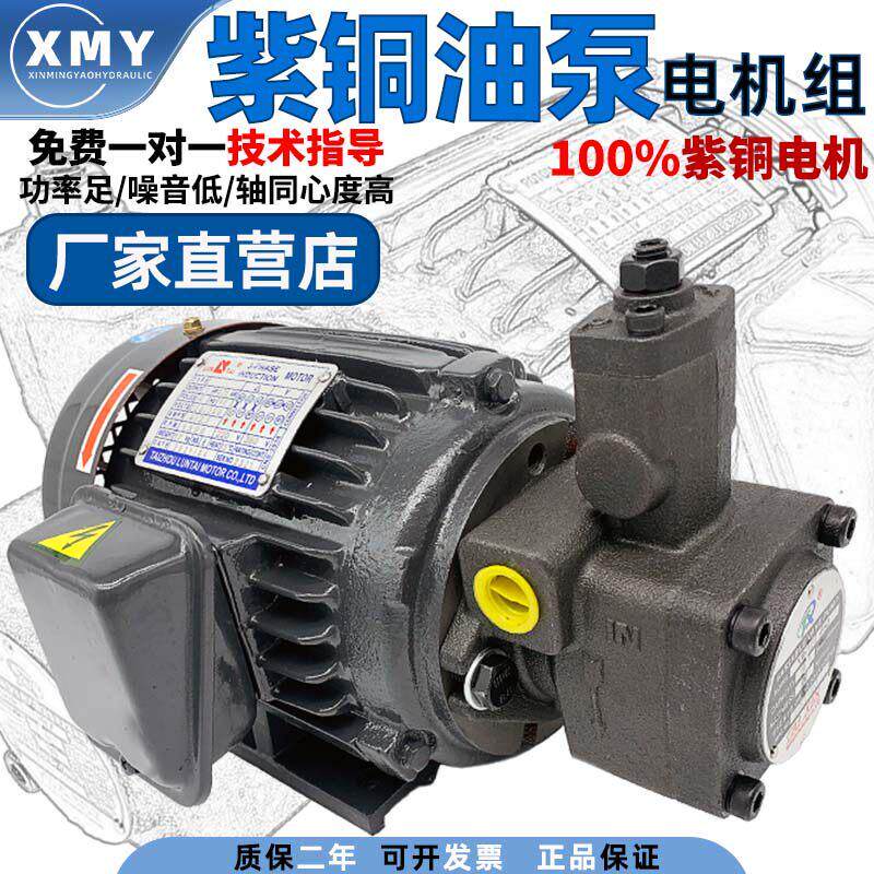 液压油泵电机组VP20-30+0.75-1.5KW液压帮浦总成卧式电机液压站系