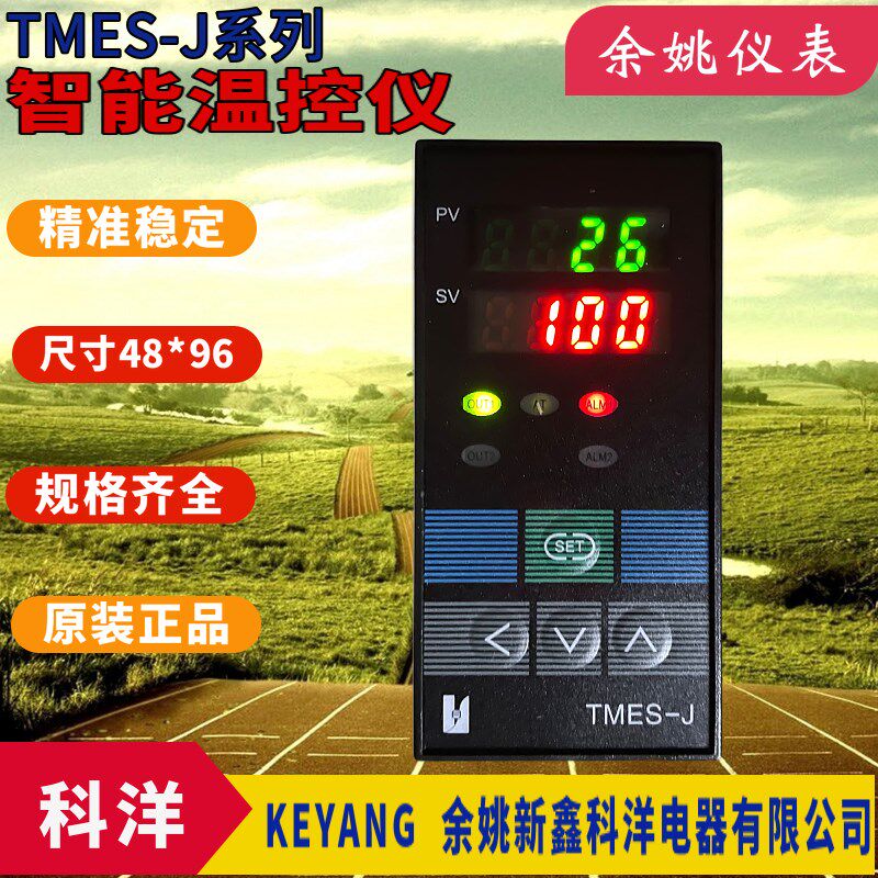 半导体控制整流器温控仪TMES-J热流道温控器TME-7711Z-S推荐 电子