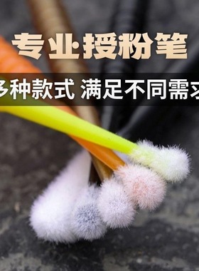 授粉笔罗汉果人工授粉工具西红柿黄瓜西瓜多肉点花授粉刷棒神器