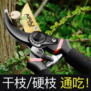 德国修枝剪刀修剪树枝专用剪刀园林花艺花剪子剪粗枝果树园艺剪刀