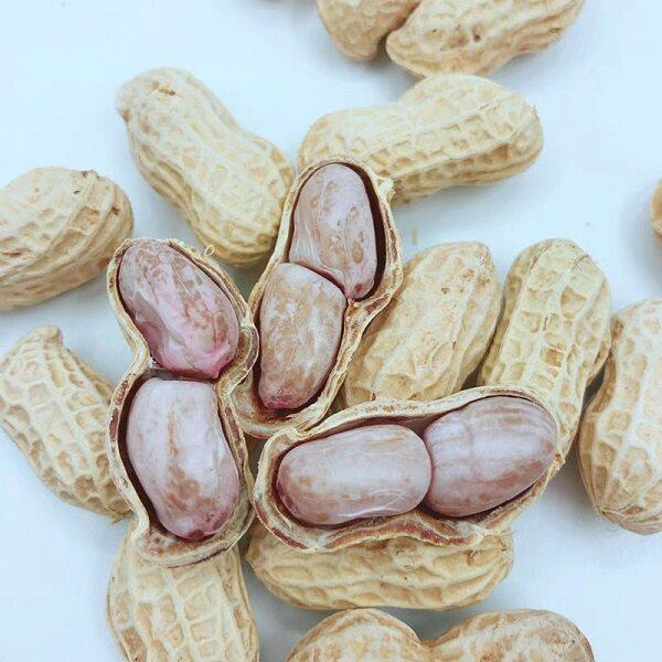 忠信水煮花生广东河源连平客家特产忠信水煮日晒干花生软糯即食咸