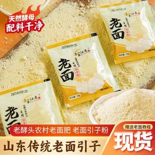 新货双曲老面引子老面酵母粉面瓜曲酵子传统馒头包子小笼包家