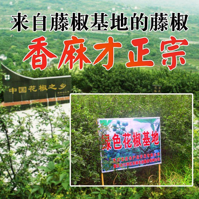 重庆钵钵鸡调料德庄青一色火锅底料重庆青花椒鱼藤椒味水煮鱼清油