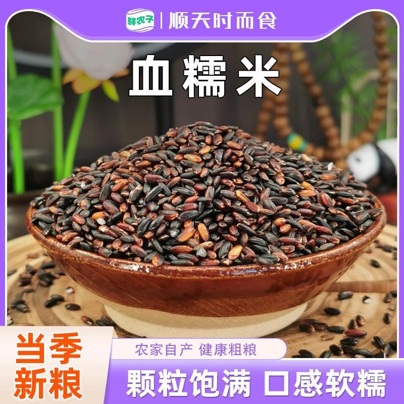 新货正宗血糯米当季新米五