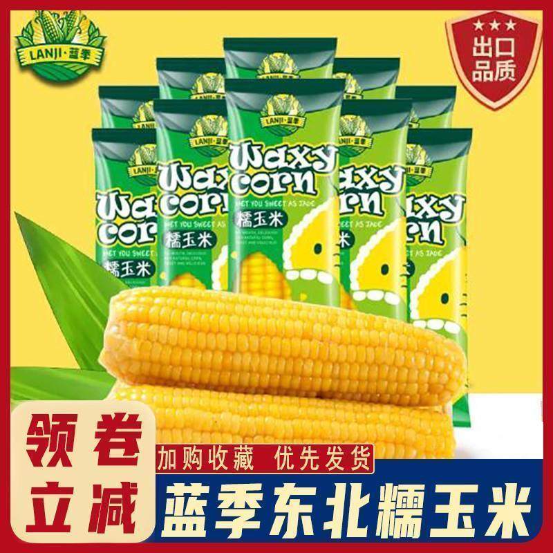 。蓝季东北糯玉米黄黑玉米