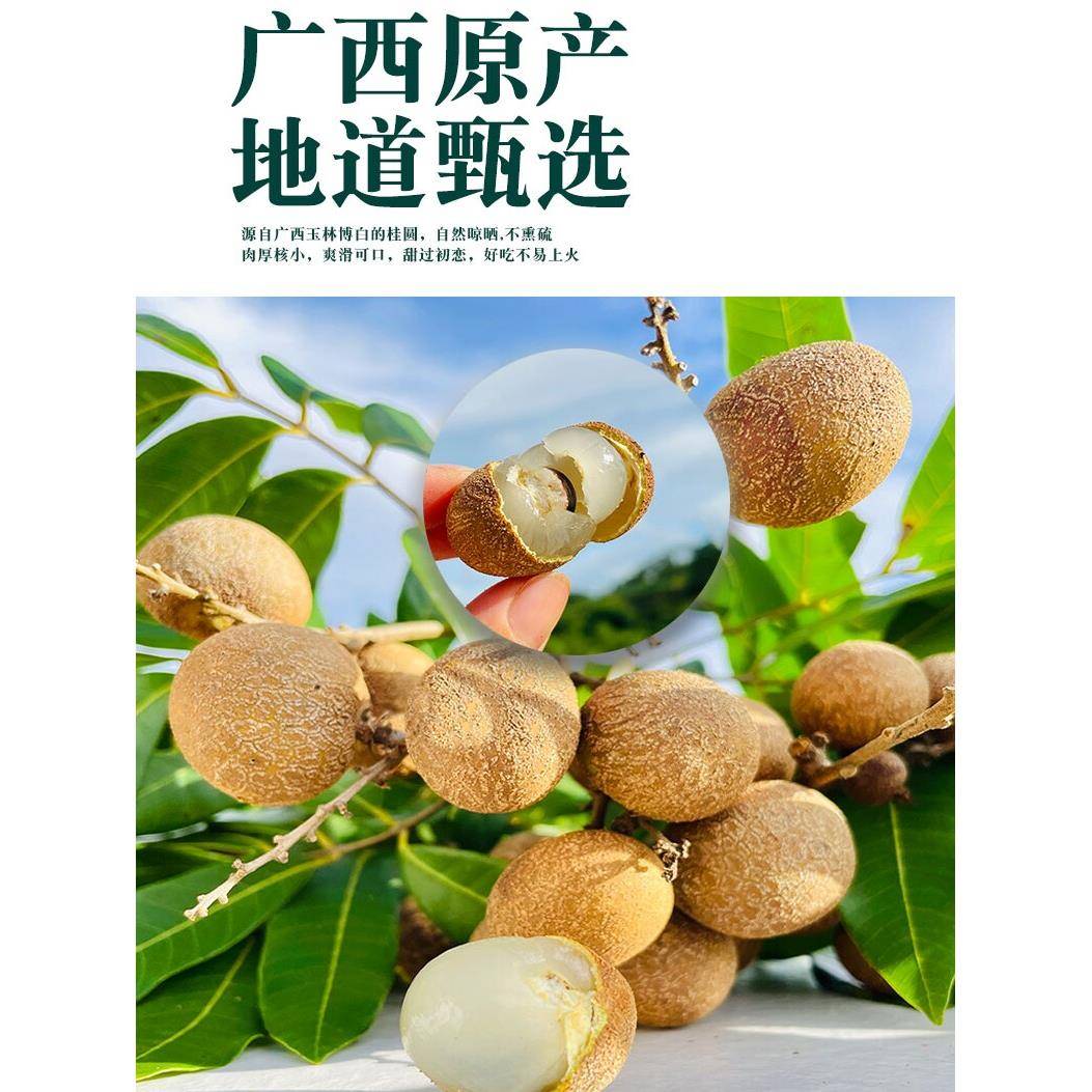 新货桂圆干500g大果龙眼干广西博白特产干货桂圆肉干非无核炖汤