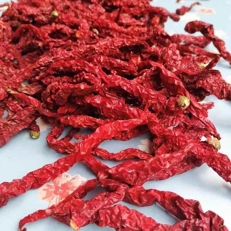 新货特香辣椒大方皱椒线椒