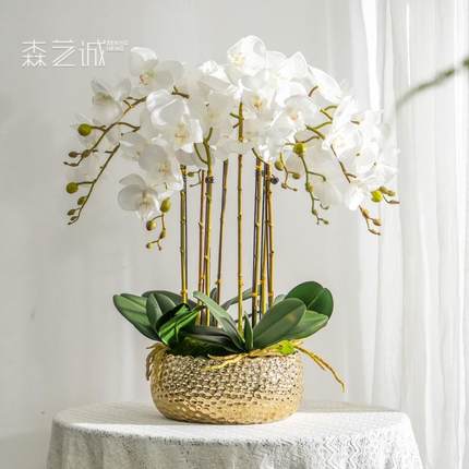 高端手感保湿仿真蝴蝶兰花艺假花卉盆栽塑料插花室内客厅装饰摆设