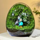 礼盒苔藓微景观盆栽生态瓶奇趣创意植物小盆景办公室桌面好养绿植