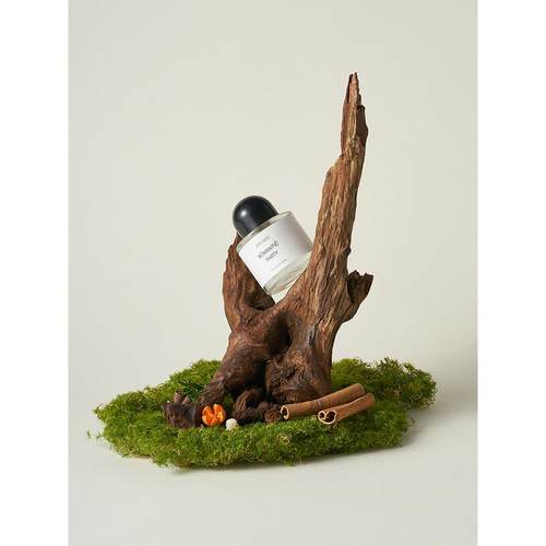 天然沉木造景 枯木拍照道具树枝木头装饰ins静物摄影陈列摆件干花