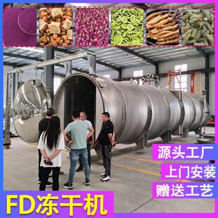 冻干拉缸盐设备 脆枣低温冻干机能耗低效果 海参真空冷冻干燥机
