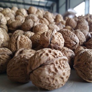 【农家山核桃】湖南特产农家山核桃小核桃薄壳核桃