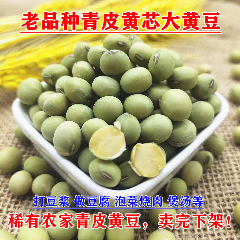 新货青豆豆浆绿皮农家椭圆形自种大豆豆腐青皮黄豆青豆新鲜