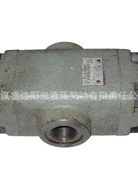 榆次 浙江 A2Y-Ha32L A2Y-Hb32L 液控单向阀 液压锁
