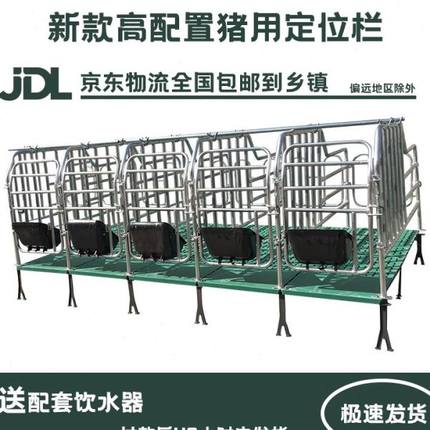 母猪定位栏离地猪用限位栏带复合漏粪板猪圈猪栏养殖体母猪定位