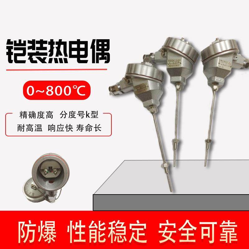 WRNK-240防爆铠装热电偶工业K分度本安不锈钢上海仪表三厂