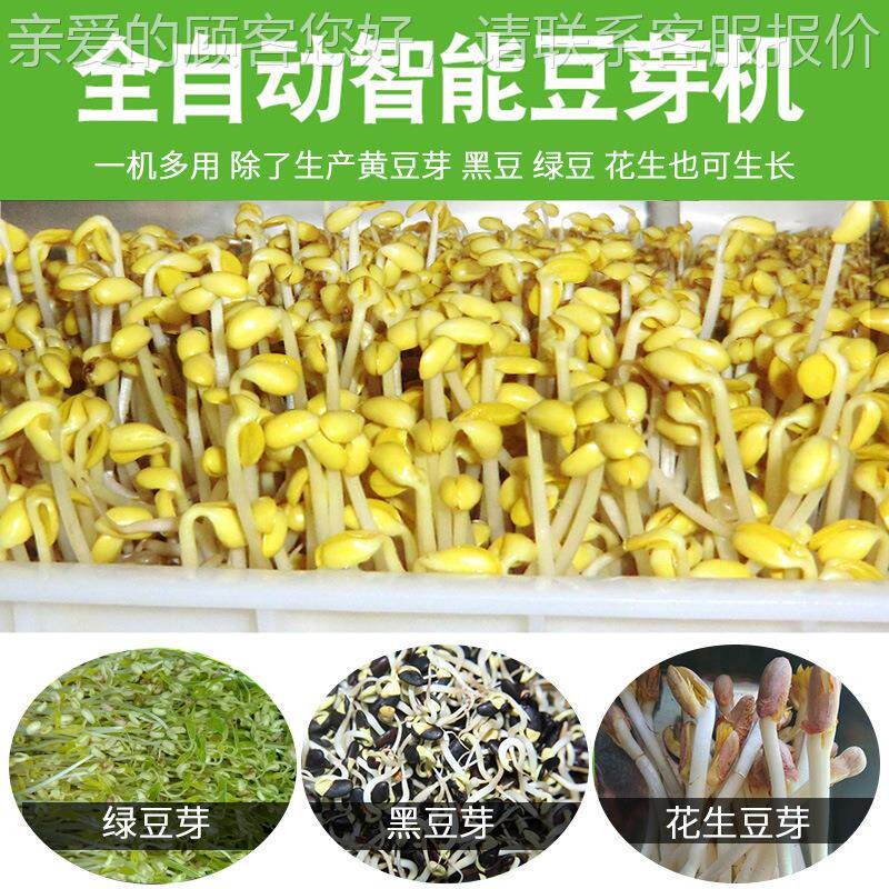 大日型芽机商用全自动芽100型
