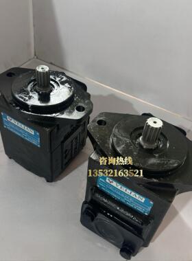 印度VELJAN液压泵 维京叶片泵VT6C-014-3R01-B1 VT6C-022-3L00-B1