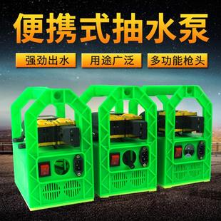 自吸抽水泵户外打药泵抽水机洗车泵浇菜 玉兴12V伏家用农用充电式