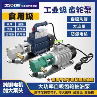 齿轮不锈钢电动抽油泵柴油机油食用油液压油220V380V 高粘度自吸式