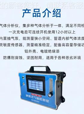气氧气天然气分析仪检测煤仪SKA/NE-5手提式气体分析仪气O2/CO/CO