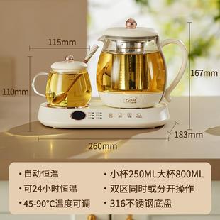 CEOOL养生壶小型办公室迷你恒温烧水壶2024新款煮茶器花茶壶双杯