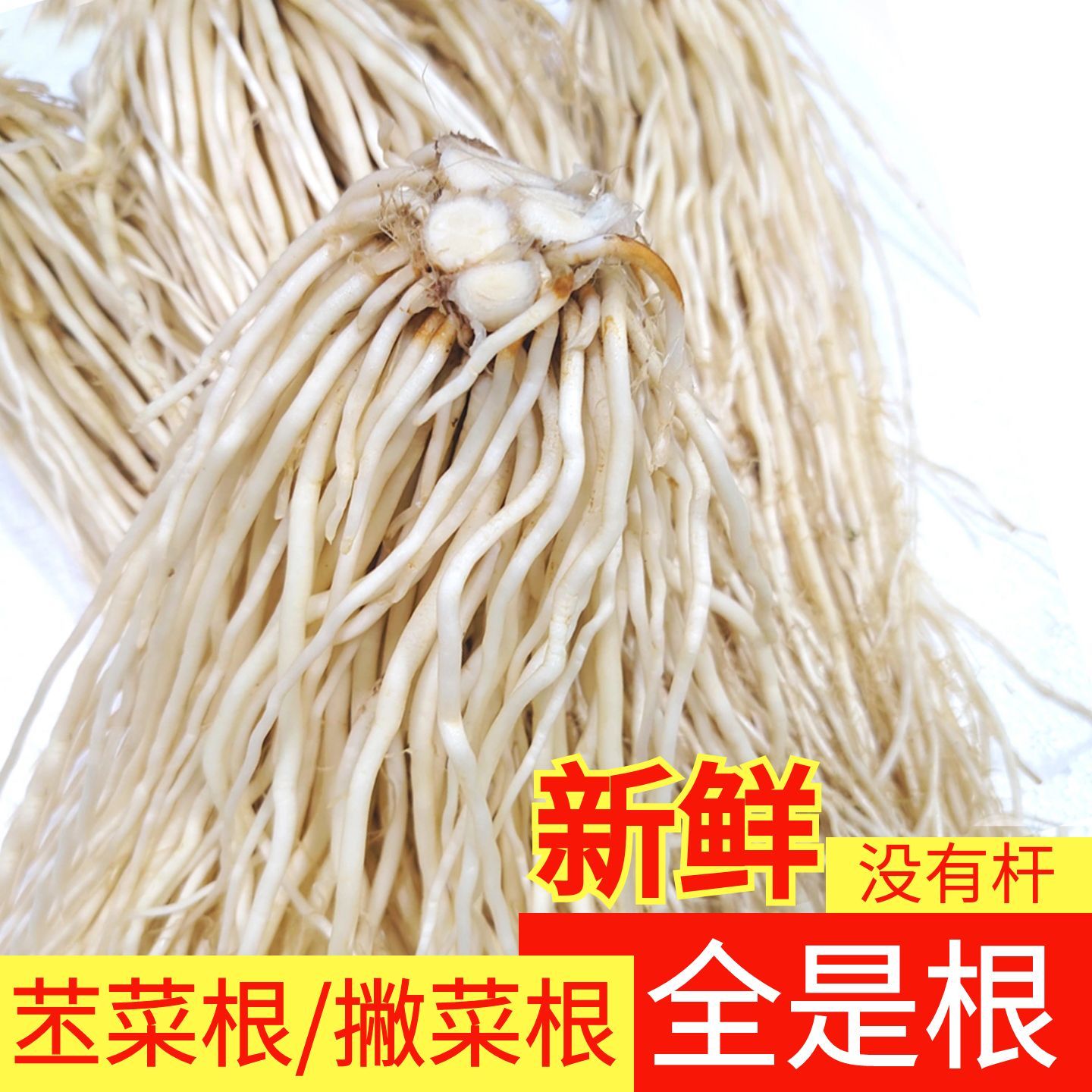 云南新鲜苤菜根撇菜根大韭菜根